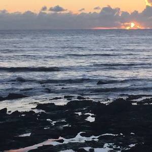 Meet your Posher, Bridget